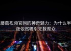 蘑菇视频官网的神奇魅力：为什么半夜依然吸引无数观众
