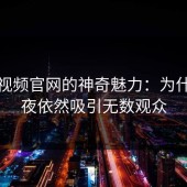 蘑菇视频官网的神奇魅力：为什么半夜依然吸引无数观众