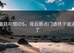 蘑菇视频iOS，背后那点门道终于说清了