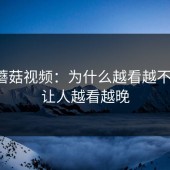 探秘蘑菇视频：为什么越看越不对劲，让人越看越晚