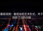 蘑菇视频：被低估的艺术形式，终于找到了它的归宿
