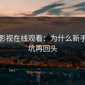 蘑菇影视在线观看：为什么新手先入坑再回头