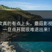 这一次真的有点上头，蘑菇影视官网，一旦点开就很难退出来！