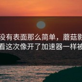 事情没有表面那么简单，蘑菇影视在线观看这次像开了加速器一样被讨论