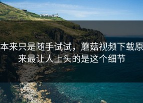 本来只是随手试试，蘑菇视频下载原来最让人上头的是这个细节