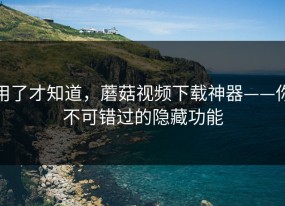 用了才知道，蘑菇视频下载神器——你不可错过的隐藏功能