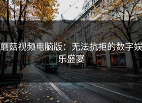 蘑菇视频电脑版：无法抗拒的数字娱乐盛宴