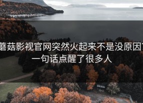 蘑菇影视官网突然火起来不是没原因？一句话点醒了很多人