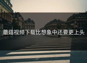 蘑菇视频下载比想象中还要更上头