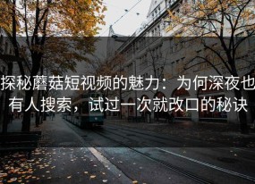 探秘蘑菇短视频的魅力：为何深夜也有人搜索，试过一次就改口的秘诀