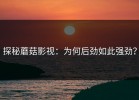 探秘蘑菇影视：为何后劲如此强劲？