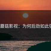探秘蘑菇影视：为何后劲如此强劲？