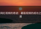 网红视频的奇迹：蘑菇视频的成功之道