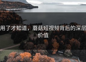 用了才知道，蘑菇短视频背后的深层价值