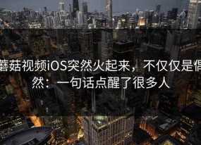 蘑菇视频iOS突然火起来，不仅仅是偶然：一句话点醒了很多人
