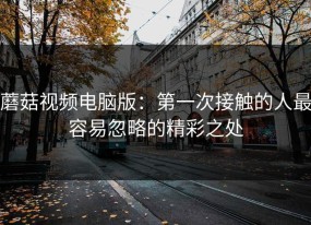 蘑菇视频电脑版：第一次接触的人最容易忽略的精彩之处