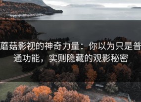 蘑菇影视的神奇力量：你以为只是普通功能，实则隐藏的观影秘密