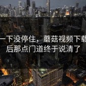 结果一下没停住，蘑菇视频下载，背后那点门道终于说清了