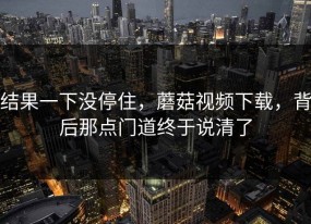 结果一下没停住，蘑菇视频下载，背后那点门道终于说清了