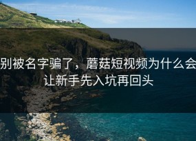 别被名字骗了，蘑菇短视频为什么会让新手先入坑再回头