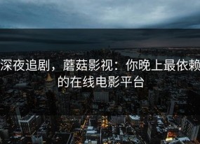 深夜追剧，蘑菇影视：你晚上最依赖的在线电影平台