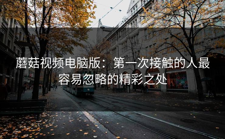 蘑菇视频电脑版：第一次接触的人最容易忽略的精彩之处