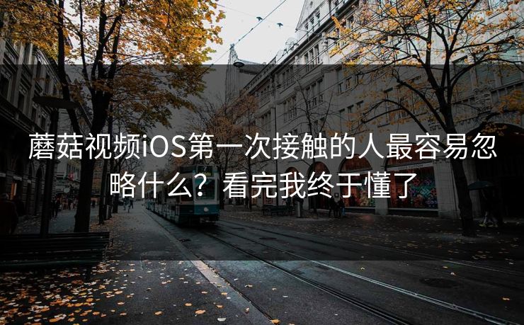 蘑菇视频iOS第一次接触的人最容易忽略什么？看完我终于懂了
