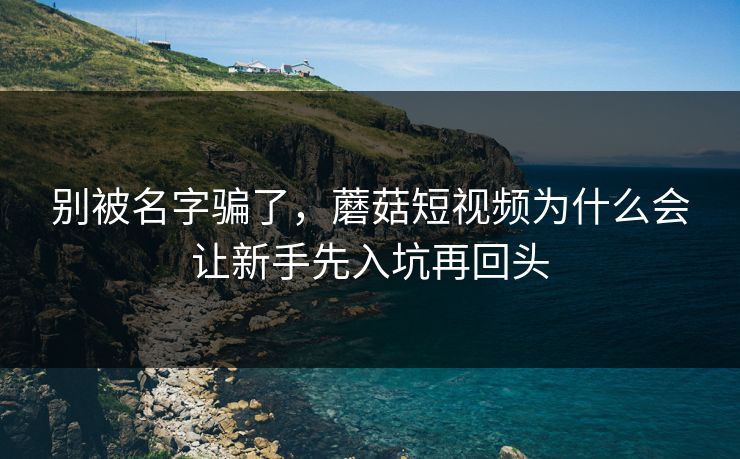别被名字骗了，蘑菇短视频为什么会让新手先入坑再回头