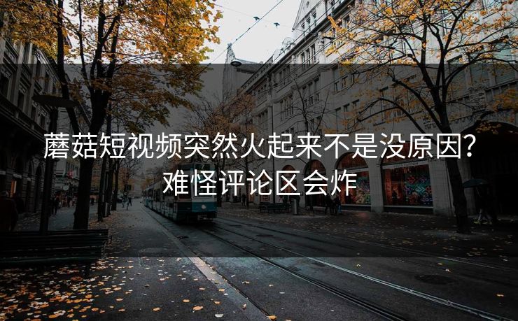 蘑菇短视频突然火起来不是没原因？难怪评论区会炸