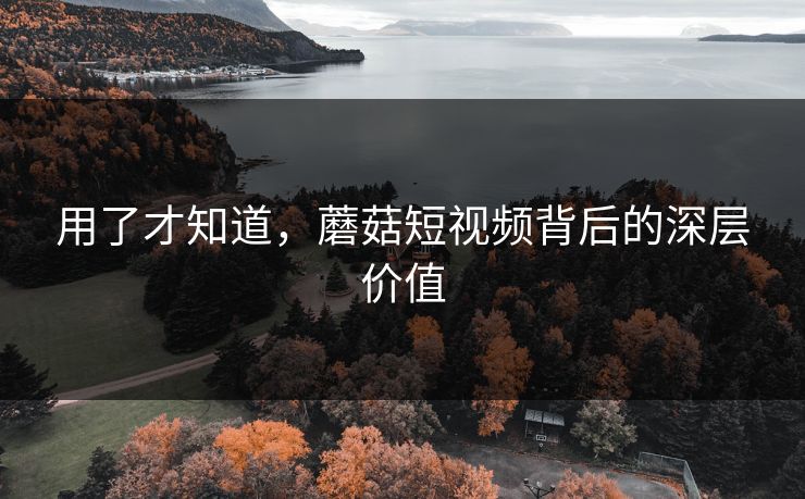 用了才知道，蘑菇短视频背后的深层价值