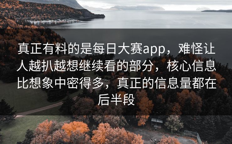 真正有料的是每日大赛app，难怪让人越扒越想继续看的部分，核心信息比想象中密得多，真正的信息量都在后半段