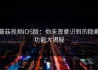蘑菇视频iOS版：你未曾意识到的隐藏功能大揭秘
