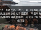 它一直藏在热门边上，每日大赛吃瓜热度忽高忽低的背后逻辑，不是所有热度都来自表面冲突，评论区已经吵成两派