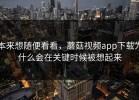 本来想随便看看，蘑菇视频app下载为什么会在关键时候被想起来