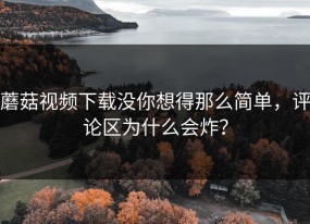 蘑菇视频下载没你想得那么简单，评论区为什么会炸？
