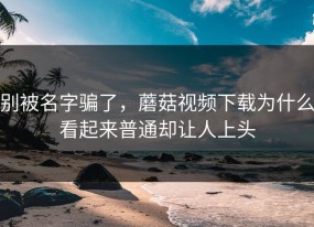 别被名字骗了，蘑菇视频下载为什么看起来普通却让人上头