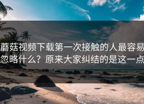 蘑菇视频下载第一次接触的人最容易忽略什么？原来大家纠结的是这一点