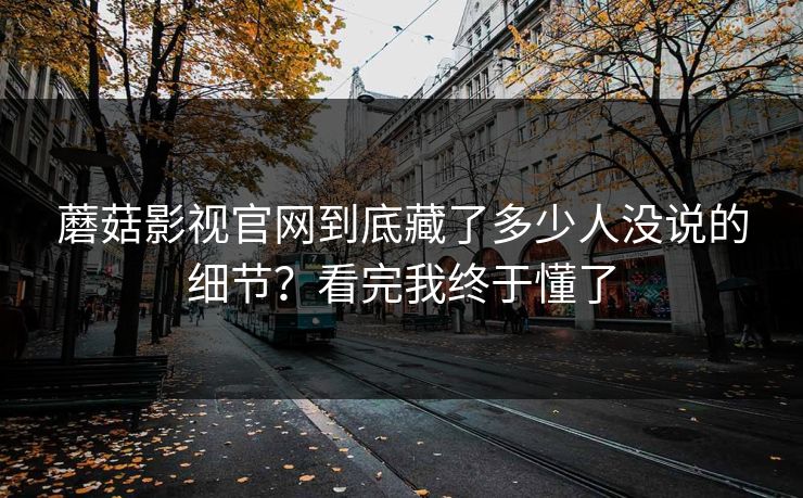 蘑菇影视官网到底藏了多少人没说的细节？看完我终于懂了