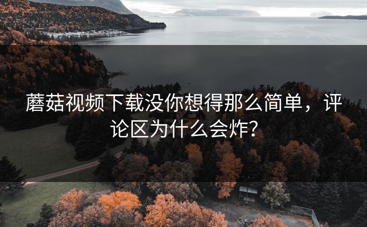 蘑菇视频下载没你想得那么简单，评论区为什么会炸？