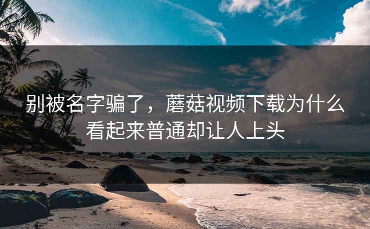 别被名字骗了，蘑菇视频下载为什么看起来普通却让人上头