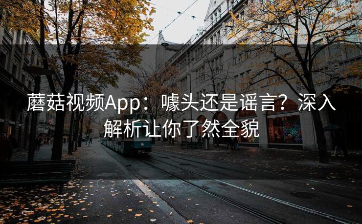 蘑菇视频App：噱头还是谣言？深入解析让你了然全貌