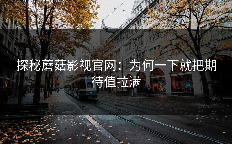探秘蘑菇影视官网：为何一下就把期待值拉满