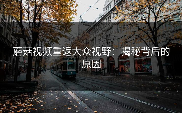 蘑菇视频重返大众视野：揭秘背后的原因