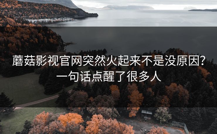 蘑菇影视官网突然火起来不是没原因？一句话点醒了很多人