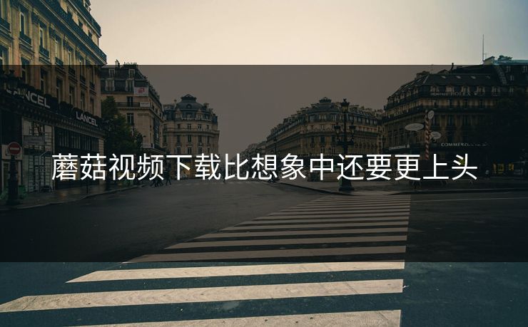 蘑菇视频下载比想象中还要更上头