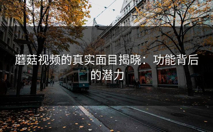 蘑菇视频的真实面目揭晓：功能背后的潜力
